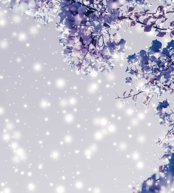 Noel, Yeni Yıl Mor Çiçek Özgeçmişi, Tatil