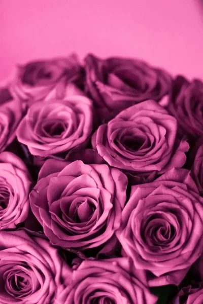 Luksusowy bukiet purpurowych róż, kwiaty w rozkwicie jak kwiatowy wakcje — Zdjęcie stockowe