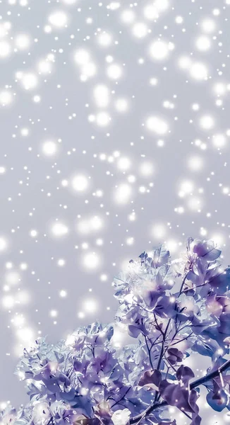 Weihnachten, Neujahr lila Blumen Natur Hintergrund, Urlaub ca — Stockfoto