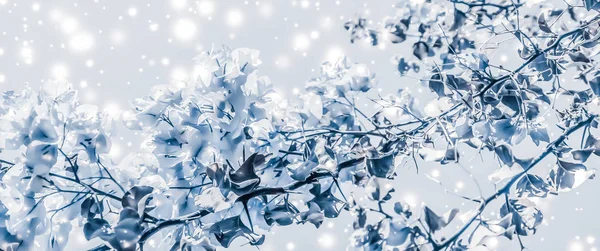 Natale, Capodanno sfondo blu natura floreale, biglietto di auguri — Foto Stock