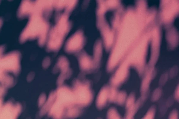 Arte abstracto, sombras botánicas superpuestas sobre fondo rosa durante h — Foto de Stock