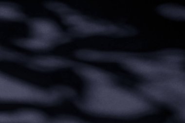 Soyut sanat, botanik gölgeler siyah arkaplan üzerine örtülmüş 