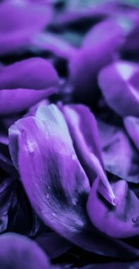 Soyut çiçekli bayram sanat geçmişi, mor çiçekli p