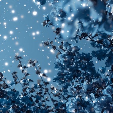 Noel, Yeni Yıl Mavi Çiçek Özgeçmişi, Noel kartı