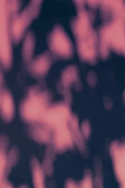 Arte abstrata, sombras botânicas sobreposição em fundo rosa para h — Fotografia de Stock
