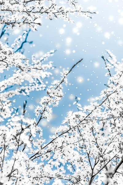 Jul, Nyår blå blommig bakgrund, semester kort design — Stockfoto