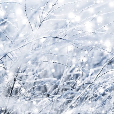 Kış tatili arka plan, parlak kar ve Co ile doğa manzarası