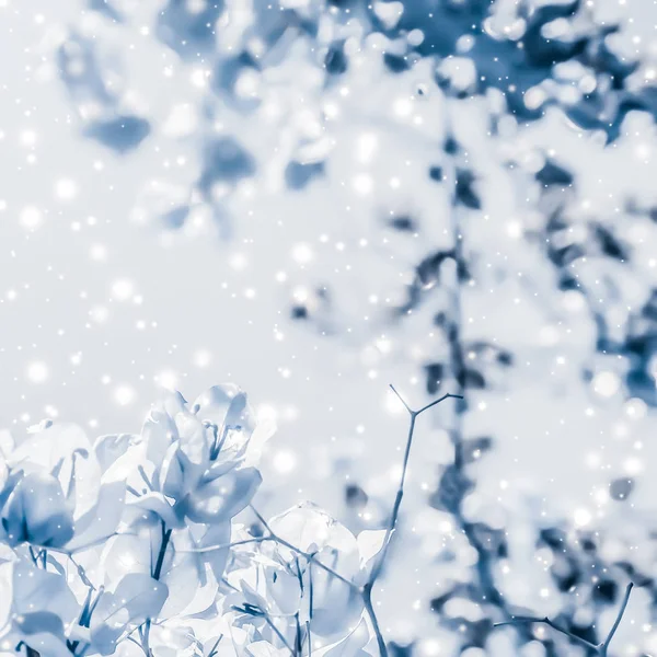 Natale, Capodanno sfondo blu natura floreale, biglietto di auguri — Foto Stock