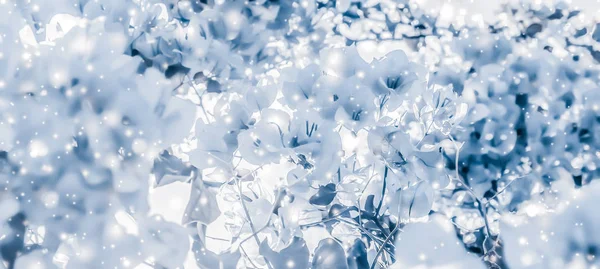 Jul, Nyår blå blommig natur bakgrund, semester kort — Stockfoto