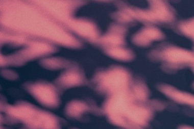 Soyut sanat, botanik gölgeler pembe arka planda h için örtüşür