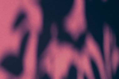 Soyut sanat, botanik gölgeler pembe arka planda h için örtüşür