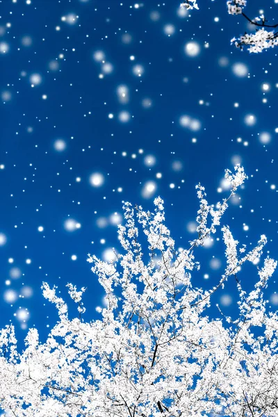Рождество, Новый год синий цветочный фон, дизайн праздничных открыток — стоковое фото