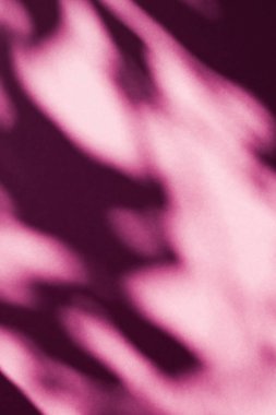 Soyut sanat, pembe arka planda botanik gölgeler