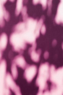 Soyut sanat, pembe arka planda botanik gölgeler