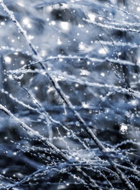 Kış tatili arka plan, parlak kar ve Co ile doğa manzarası