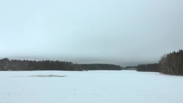 Bosque de invierno nevado viaje por carretera, vista de la ventana del coche del paisaje escénico en Europa, panorama de viajes y la escena de la naturaleza de fondo, viaje de vacaciones y clima frío — Vídeos de Stock