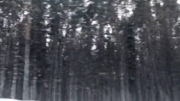 Bosque de invierno nevado viaje por carretera, vista de la ventana del coche del paisaje escénico en Europa, panorama de viajes y la escena de la naturaleza de fondo, viaje de vacaciones y clima frío — Vídeos de Stock