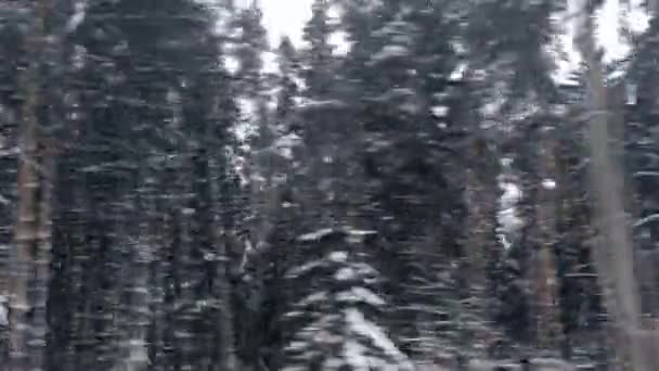 Téli erdő havas út, autó ablak kilátás festői táj Európában, utazási panoráma és a természet jelenet háttér, nyaralás utazás és hideg időjárás — Stock videók