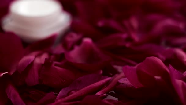 Ενυδατική κρέμα προσώπου με ευαίσθητη επιδερμίδα σε πέταλα λουλουδιών και φόντο νερού, φυσική επιστήμη για το δέρμα — Αρχείο Βίντεο