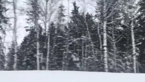 Vinter skog snöig väg resa, bil fönster utsikt över natursköna landskap i Europa, resor panorama och natur scen bakgrund, semester resa och kallt väder — Stockvideo