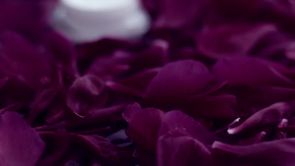 Gevoelige huidverzorging moisturizer gezicht crème op bloemblaadjes en water achtergrond, natuurwetenschappen voor de huid — Stockvideo