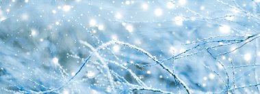 Kış tatili arka plan, parlak kar ve Co ile doğa manzarası