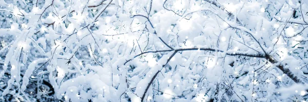 Vintersemester bakgrund, naturlandskap med glänsande snö och co — Stockfoto