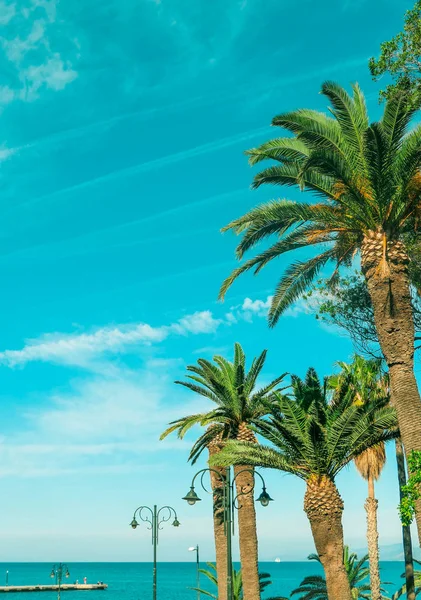 Fondo de playa de palmeras, viajes de verano — Foto de Stock