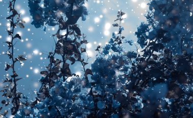 Noel, Yeni Yıl Mavi Çiçek Özgeçmişi, Noel kartı