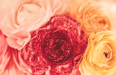 Çiçek açan çiçeklerden oluşan klasik bir buket, zarif bir çiçek.