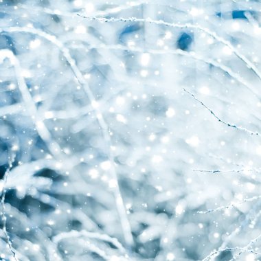 Kış tatili arka plan, parlak kar ve Co ile doğa manzarası