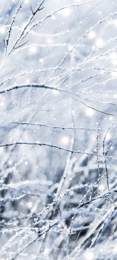 Kış tatili arka plan, parlak kar ve Co ile doğa manzarası