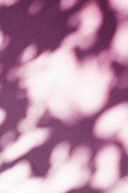 Soyut sanat, pembe arka planda botanik gölgeler