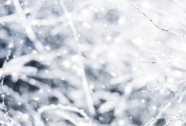 寒假背景,自然风光与闪亮的雪和合作 — 图库照片