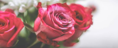 Bahar çiçekleri çiçek açıyor, soyut çiçek sanatı geri dönüyor.