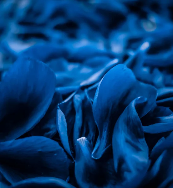 Fondo abstracto de arte floral de vacaciones, flor azul mascota — Foto de Stock