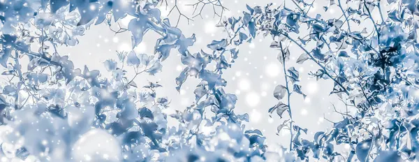 Kerstmis, Oud en Nieuw blauwe bloemen natuur achtergrond, vakantie kaart — Stockfoto