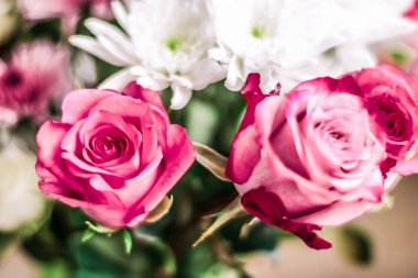 Bahar çiçekleri çiçek açıyor, soyut çiçek sanatı geri dönüyor.