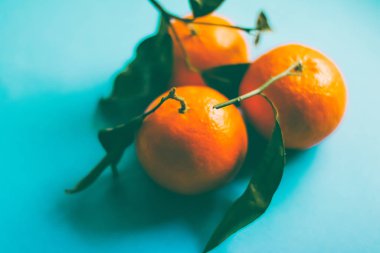 Taze, sulu mandalina, safra kesesi için mandalina meyveli tatlı.