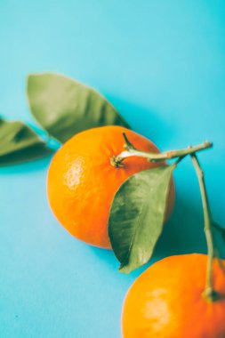 Taze, sulu mandalina, safra kesesi için mandalina meyveli tatlı.