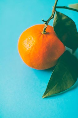 Taze, sulu mandalina, safra kesesi için mandalina meyveli tatlı.