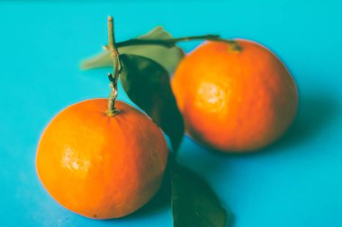 Taze, sulu mandalina, safra kesesi için mandalina meyveli tatlı.