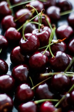 Taze tatlı kiraz, sulu kiraz meyveleri meyve tatlı olarak iyileşmek