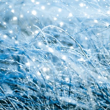 Kış tatili arka plan, parlak kar ve Co ile doğa manzarası