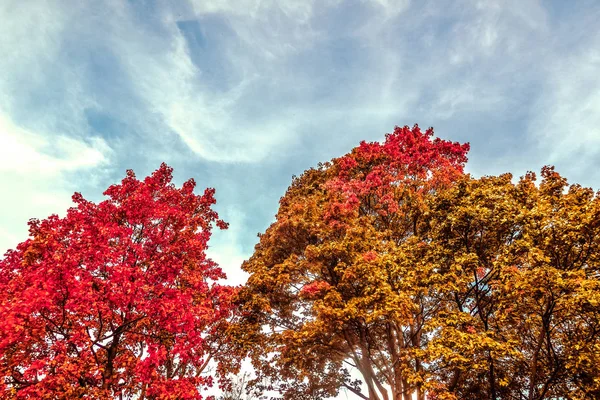 Schöne Herbstlandschaft Hintergrund, Vintage-Natur-Szene in f — Stockfoto