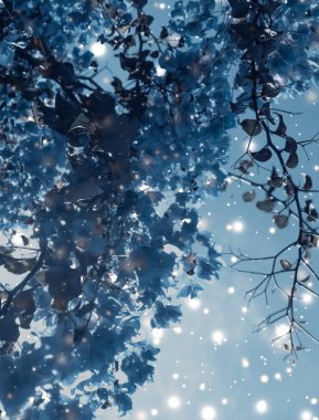 Noel, Yeni Yıl Mavi Çiçek Özgeçmişi, Noel kartı