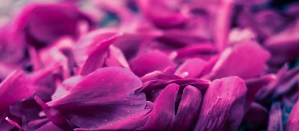 Fondo floral abstracto, pétalos de flores moradas en agua — Foto de Stock