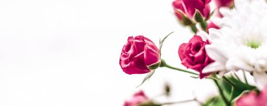 Bahar çiçekleri çiçek açıyor, soyut çiçek sanatı geri dönüyor.