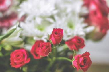 Bahar çiçekleri çiçek açıyor, soyut çiçek sanatı geri dönüyor.