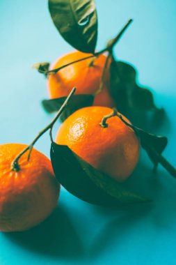 Taze, sulu mandalina, safra kesesi için mandalina meyveli tatlı.